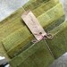 Hand Dyed Wool Fabric, 8 Old Green Fat 1/16 Sixteenth for Primitive Rug Hooking