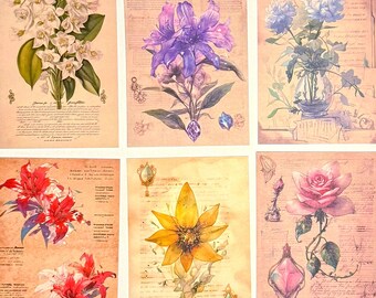 Kit diario floreale con fiori: set di oltre 80 pezzi di collage selezionati