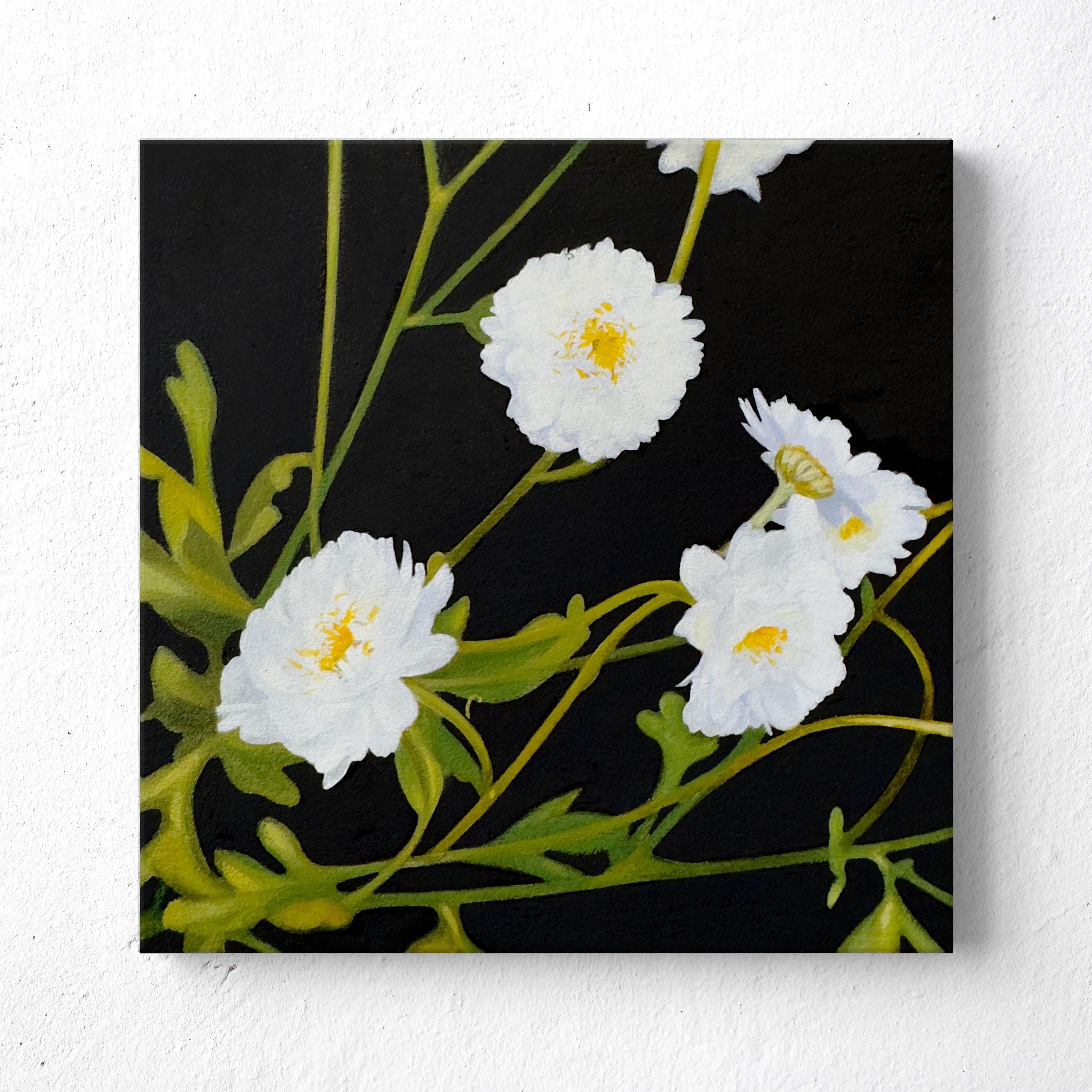 オリジナルの花の油絵：小さな白い花のファインアート、6x6インチ