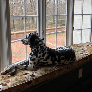 Custom Trapezoid Bench Cushion Window Cushion