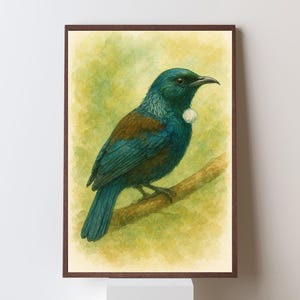 Tui Bird Watercolor Print | New Zealand Wall Art | NZ Native Bird