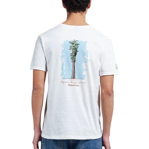 Puede incluir: Una camiseta blanca de manga corta con un gráfico en la parte posterior de una secuoya costera alta sobre un fondo azul claro. Debajo del árbol, el texto dice Coast Redwood, Sequoia sempervirens e Hyperion en una fuente de color marrón rojizo.