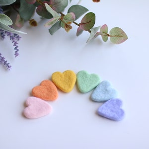 Medium Wollfilz Herzen zum Posieren / Pastell Regenbogen