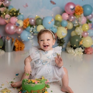Blue Butterfly Gardenia Sitter Romper / 6-12 months / Cake Smash Outfit / Dress