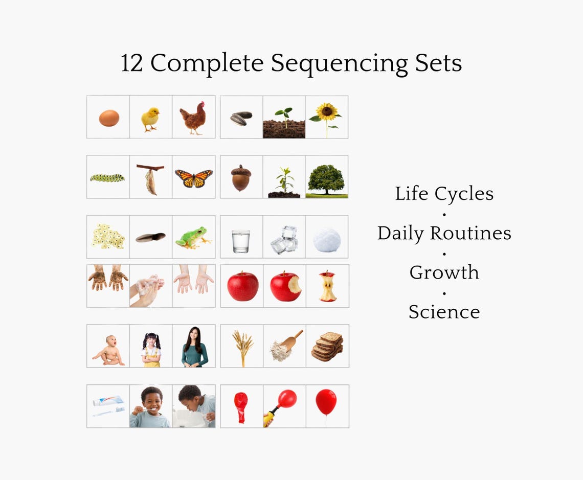 Montessori Sequencing Cards, Life Cycle & Daily Routine Activity (PDF ...