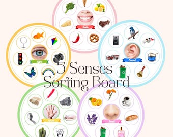 Tablero de clasificación de los 5 sentidos / Montessori imprimible para preescolar / Juego de aprendizaje sensorial para niños