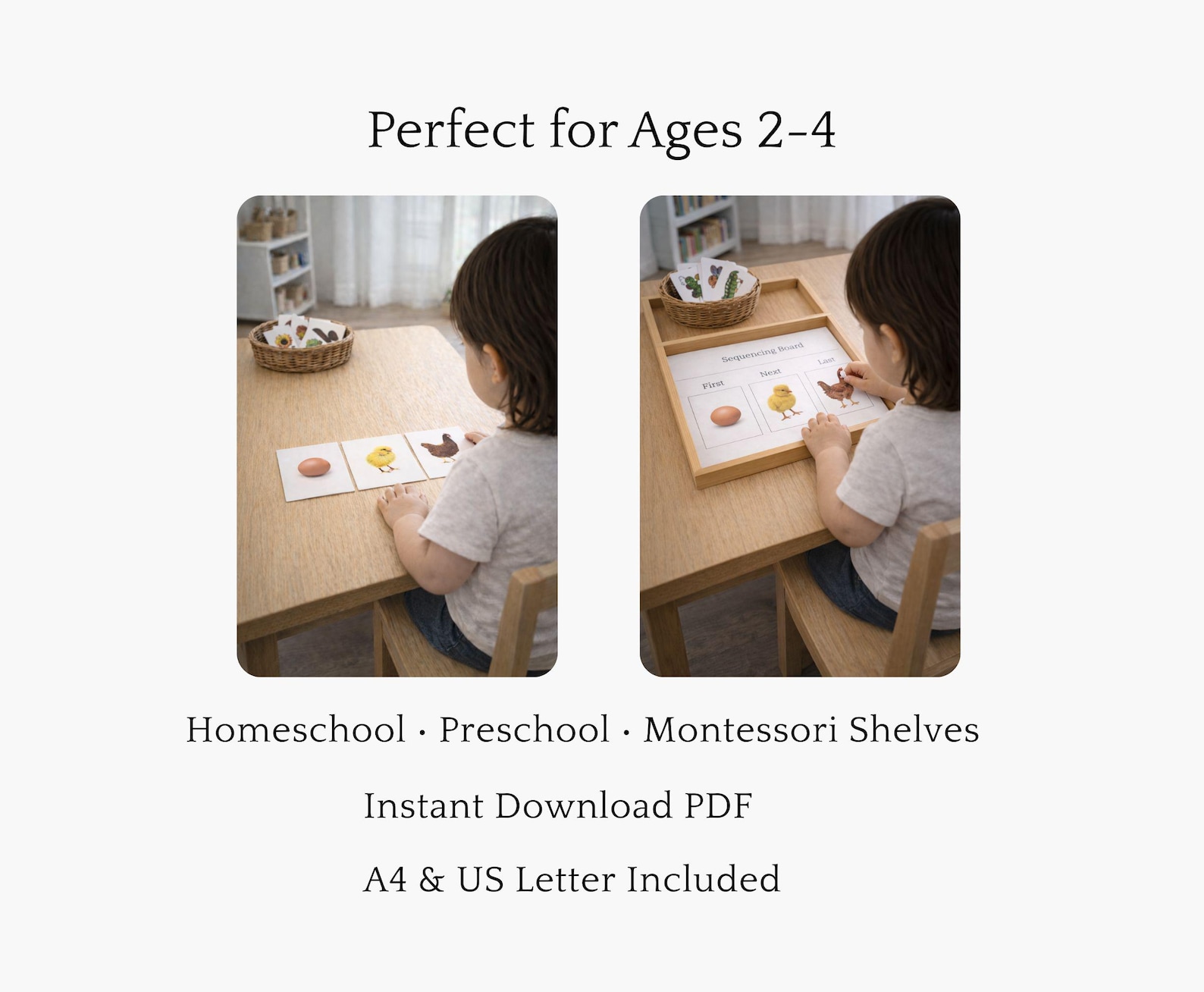Montessori Sequencing Cards, Life Cycle & Daily Routine Activity (PDF ...