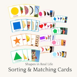 May include: A collection of educational sorting and matching cards featuring various shapes like circles, squares, and triangles. Each card displays a shape and a corresponding real-life object. The text "Shapes in Real Life Sorting & Matching Cards" is also visible.