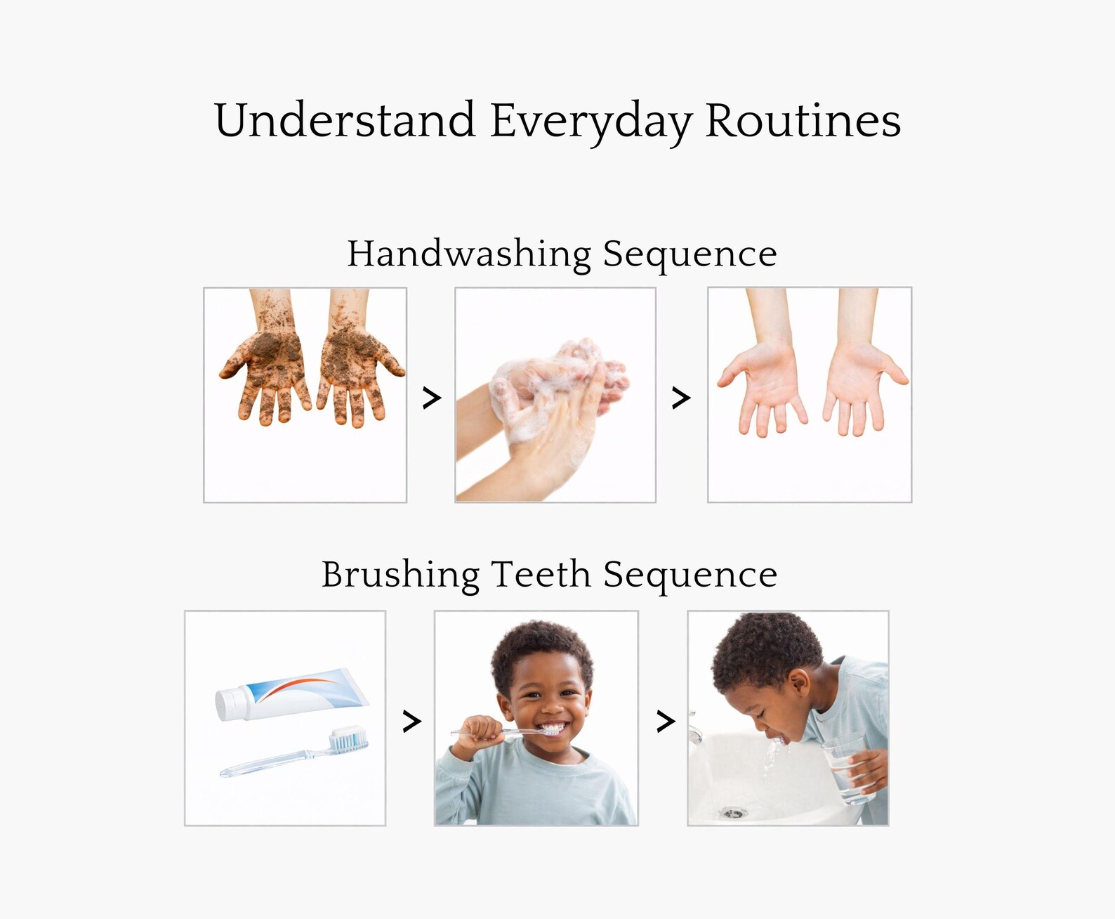 Montessori Sequencing Cards, Life Cycle & Daily Routine Activity (PDF ...
