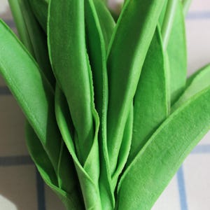 Puede incluir: Primer plano de un manojo de hojas de color verde brillante. Las hojas son largas, delgadas y tienen una superficie ligeramente texturizada. Est&aacute;n dispuestas en un grupo denso, con algunas superpuestas. El fondo es un patr&oacute;n de cuadros azul claro y blanco.