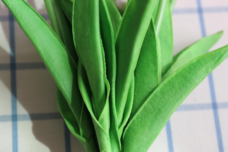 Puede incluir: Primer plano de un manojo de hojas de color verde brillante. Las hojas son largas, delgadas y tienen una superficie ligeramente texturizada. Est&aacute;n dispuestas en un grupo denso, con algunas superpuestas. El fondo es un patr&oacute;n de cuadros azul claro y blanco.