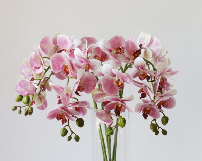 31 Inch Real Touch Butterfly Orchid, Silk Flowers for Home Decorations, Wedding Centerpiece