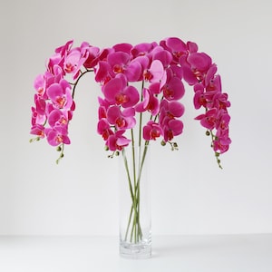 May include: A clear glass vase holding several stems of vibrant pink orchids. The orchids cascade downwards, creating an elegant display. The flowers have multiple blooms and green stems. The background is plain white.
