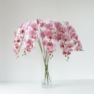 May include: A clear glass vase filled with several stems of pink and white orchids. The orchids have multiple blooms and are arranged in a cascading fashion. The vase sits on a white surface against a white background.
