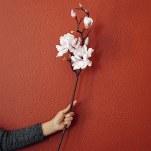 May include: A long, artificial magnolia stem with several open, light pink flowers and buds. The flowers have a delicate, layered petal design. The stem is dark brown and held against a red background.