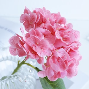May include: A bunch of pink hydrangea flowers with green leaves, presented in a clear glass vase. The flowers have multiple layers of delicate petals. The background is a soft, blurred white.