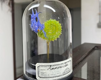 Handmade Glass Octopus Sculpture, Ocean Art with Ammonite, With/Without Dome