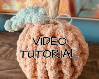 May include: A handmade, peach-colored, plush pumpkin with a light blue leaf and a wooden stem. The words "VIDEO TUTORIAL" are printed on the front. This decorative pumpkin is perfect for fall decor.