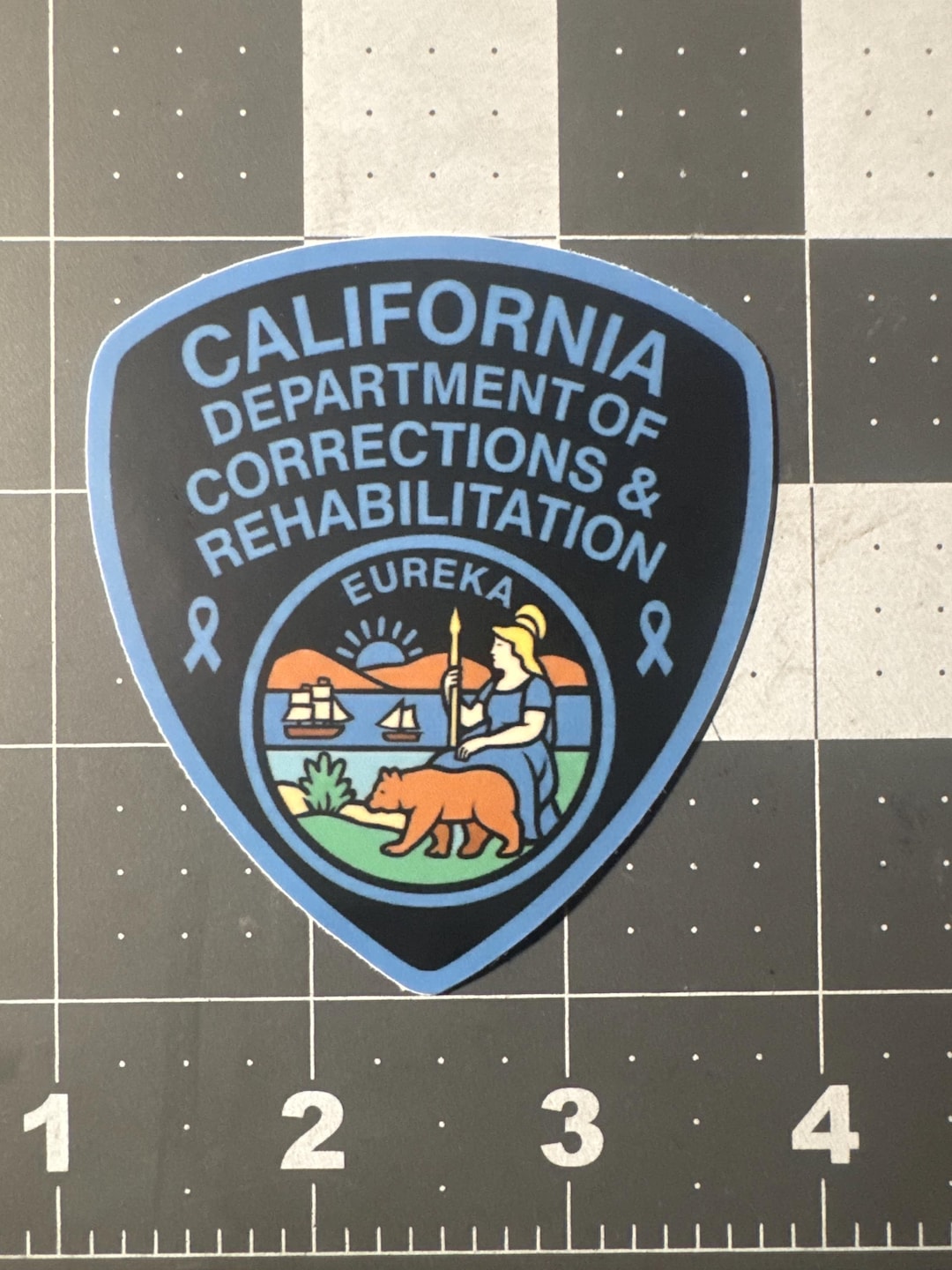 California Prison Guard Sticker CDCR STICKER California Department of ...