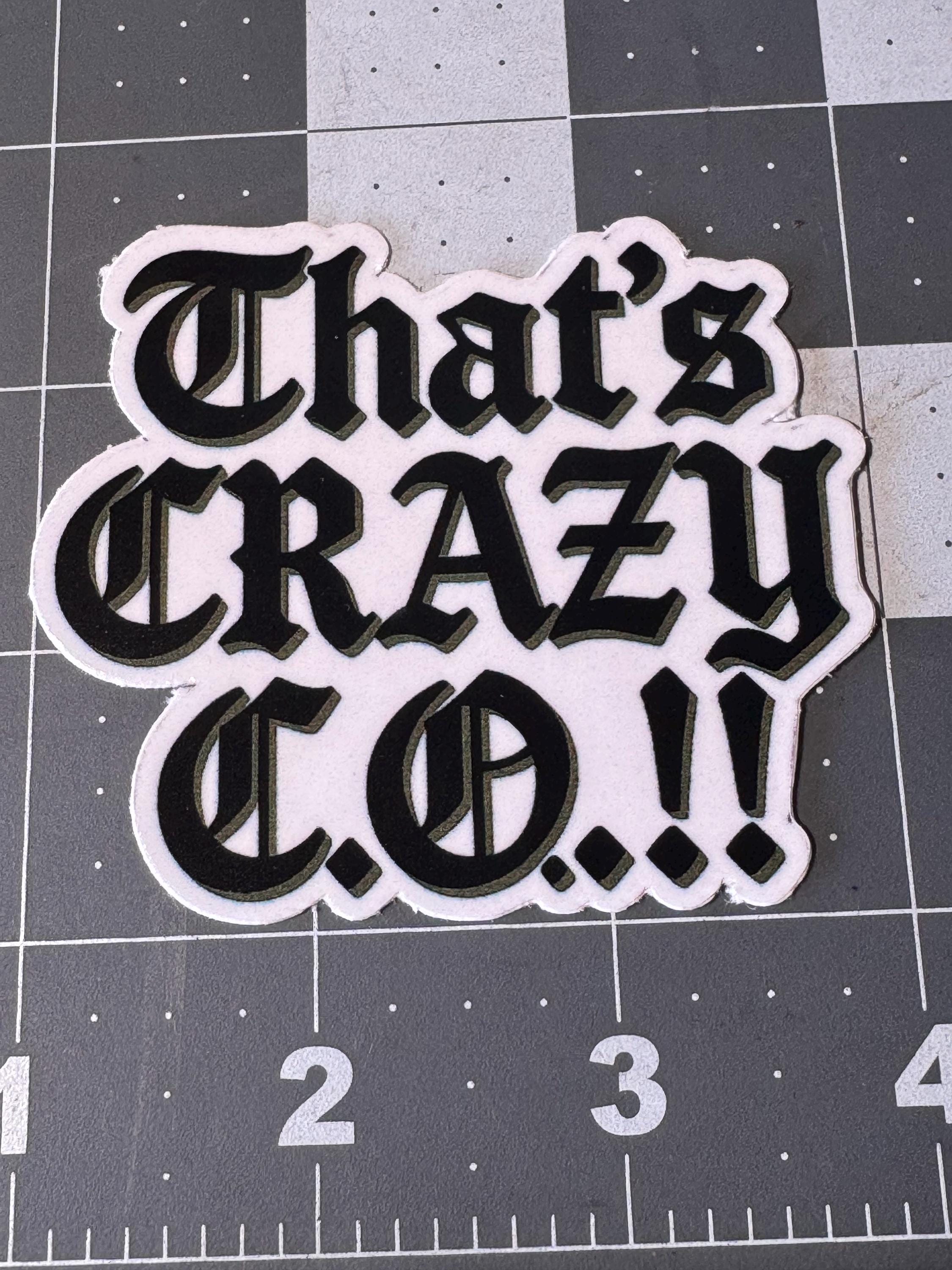 Jailer Sticker Correctional Officer Sticker Prison Guard Sticker