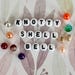 Owner of <a href='https://www.etsy.com/shop/KnottyShellBell?ref=l2-about-shopname&from_page=listing' class='wt-text-link'>KnottyShellBell</a>