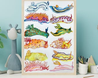 Colorful Nudibranchs Watercolor Print