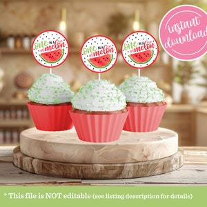 One in a Melon 1st Birthday Cupcake Topper Red Girl 1st First Summer Watermelon Theme Birthday Party Sticker Printable Instant Download