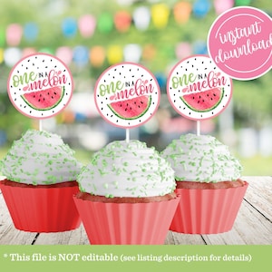 One in a Melon 1st Birthday Cupcake Topper Pink Girl 1st First Summer Watermelon Theme Birthday Party Sticker Printable Instant Download