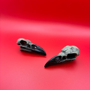 May include: Two raven skull replicas with a weathered, off-white finish and black beaks are displayed against a vibrant red background. The skulls are positioned at a slight angle, showcasing their detailed bone structure.