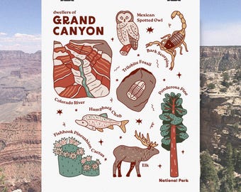 Grand Canyon National Park Poster: Desert Wildlife & Landscape Art Print, Arizona Nature Wall Art, Educational Illustration