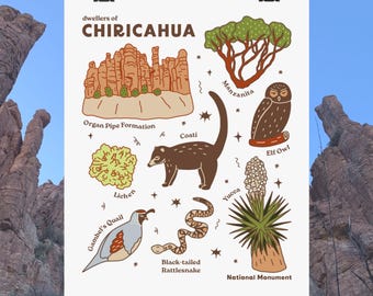 Chiricahua National Monument Poster Matte Vertical | Desert Wildlife Illustration
