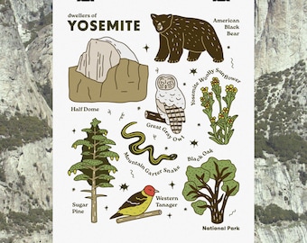 Yosemite National Park Poster: Forest Plants & Animals Art Print, California Wildlife Wall Art, Educational Nature Illustration