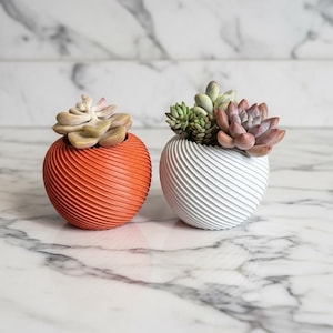 Puede incluir: Dos pequeñas macetas redondas con exteriores texturizados en espiral. Una es naranja, la otra blanca. Cada una contiene una planta suculenta con hojas verdes, rosas y beige. Las macetas están sobre una superficie de mármol.