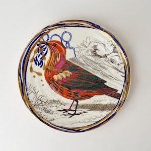 May include: A decorative plate featuring a colorful bird illustration. The bird has red, orange, and purple feathers, and is holding a blue sprig. The plate has a gold rim, a blue border, and a white background with floral and gold accents.