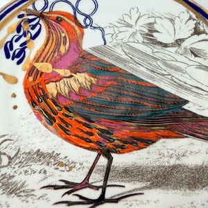 May include: A decorative ceramic plate featuring a colorful bird illustration. The bird has orange, pink, and teal plumage, with gold accents. The plate has a white background with a blue and gold rim, and a detailed floral design.