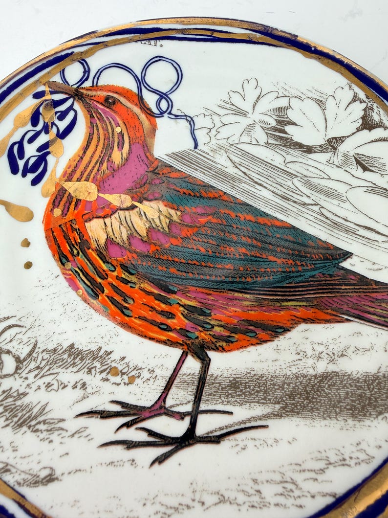 May include: A decorative ceramic plate featuring a colorful bird illustration. The bird has orange, pink, and teal plumage, with gold accents. The plate has a white background with a blue and gold rim, and a detailed floral design.