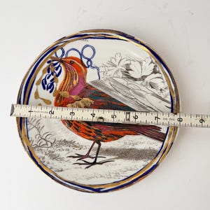 May include: A decorative ceramic plate featuring a colorful bird illustration. The plate has a white background with a blue and gold rim. The bird is depicted with red, orange, and purple feathers. The plate measures approximately 8 inches in diameter.