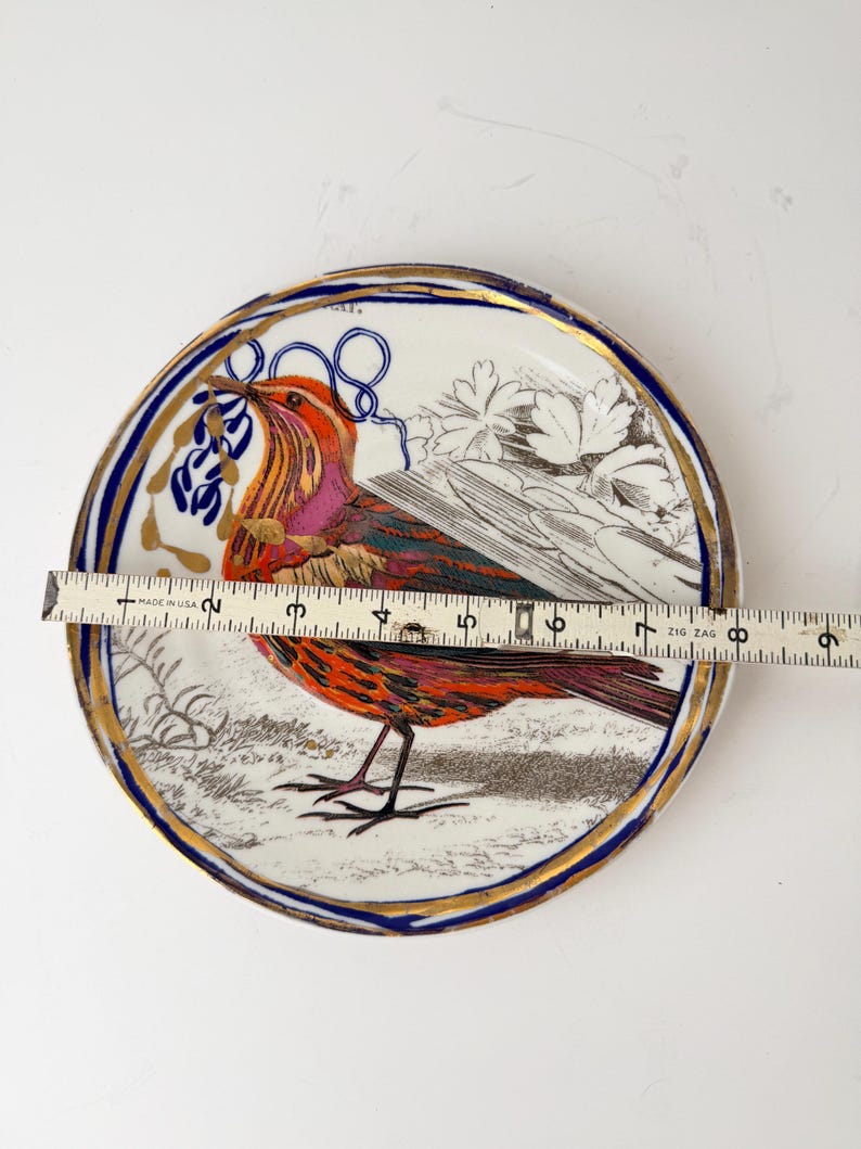 May include: A decorative ceramic plate featuring a colorful bird illustration. The plate has a white background with a blue and gold rim. The bird is depicted with red, orange, and purple feathers. The plate measures approximately 8 inches in diameter.