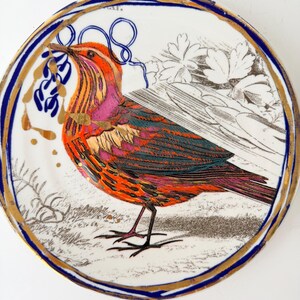 May include: A decorative ceramic plate featuring a colorful bird illustration. The bird has orange, pink, and teal feathers, with a blue and gold border. The plate has a white background with botanical illustrations.