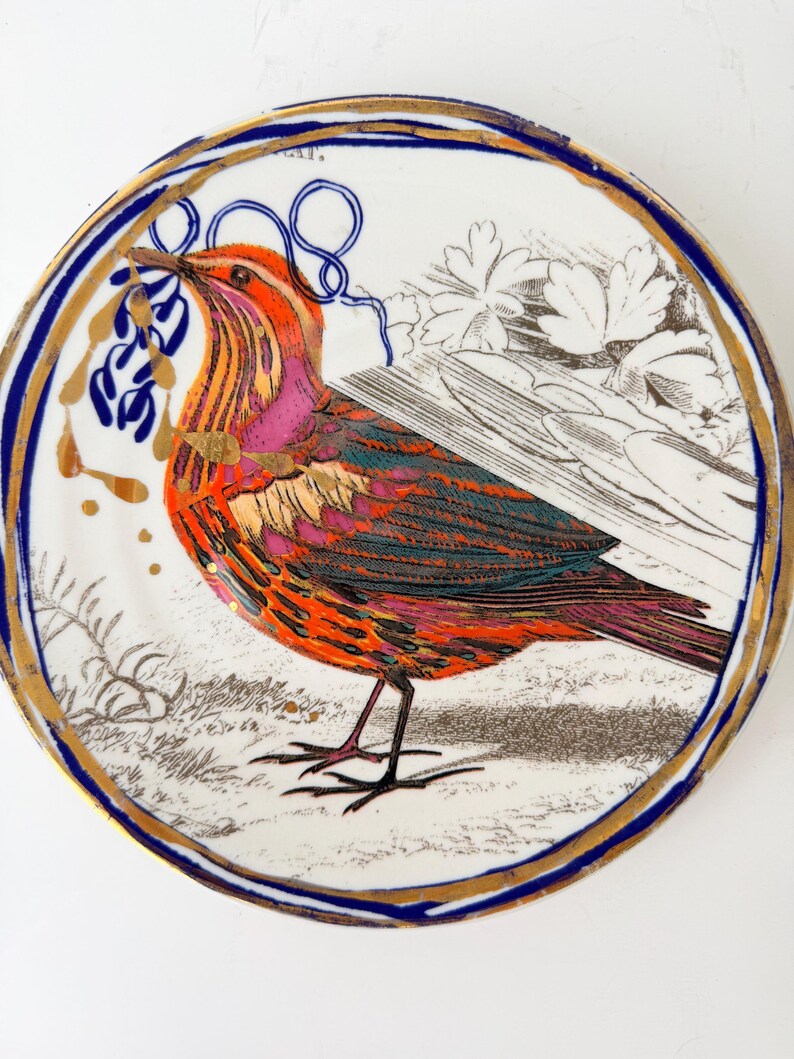 May include: A decorative ceramic plate featuring a colorful bird illustration. The bird has orange, pink, and teal feathers, with a blue and gold border. The plate has a white background with botanical illustrations.