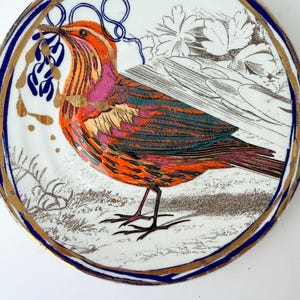 May include: A decorative ceramic plate featuring a colorful bird illustration. The bird has orange, pink, and green feathers, with a blue and gold border. The plate has a white background with floral and gold accents.