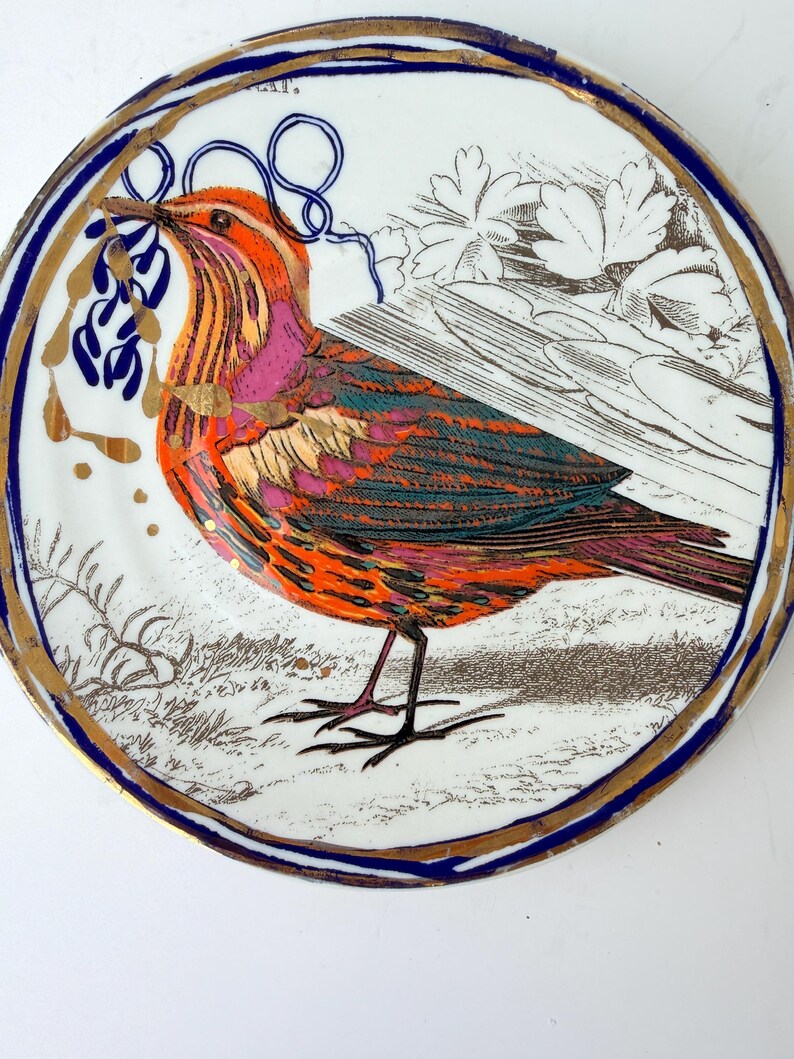 May include: A decorative ceramic plate featuring a colorful bird illustration. The bird has orange, pink, and green feathers, with a blue and gold border. The plate has a white background with floral and gold accents.
