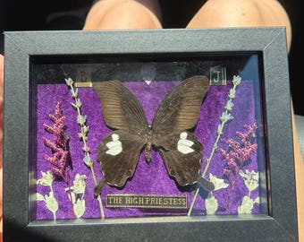 Preserved Butterfly Shadow Box, purple velvet with Pressed Flowers and High Priestess Tarot Card