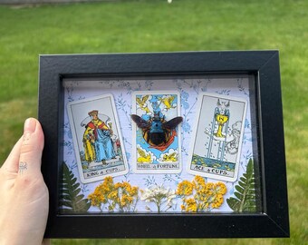 Preserved blue carptenter bee Shadow Box with Pressed Flowers and Tarot Cards