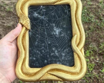 Inramad spindelnätskonst: Bevarat spindelnät i guldfärgad ormdekor 12,5 x 15,5 cm
