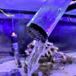 May include: A clear plastic aquarium water pump outlet with a black circular mesh filter cap, discharging a steady stream of water into a tank illuminated by blue light, with a submerged heater visible in the background.