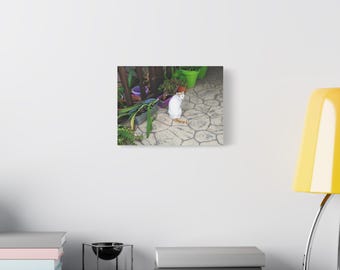 植物に囲まれた猫を描いたキャンバスウォールアート。ペット愛好家へのギフト。室内装飾。猫のアートプリント。居心地の良いリビングルーム。動物愛好家へのギフト。猫