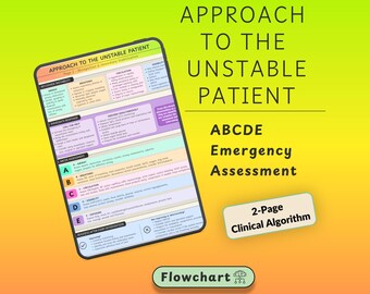 Vorgehensweise bei instabilen Patienten | ABCDE-Schema | Leitfaden für die Notfallmedizin | 2-seitiges klinisches PDF