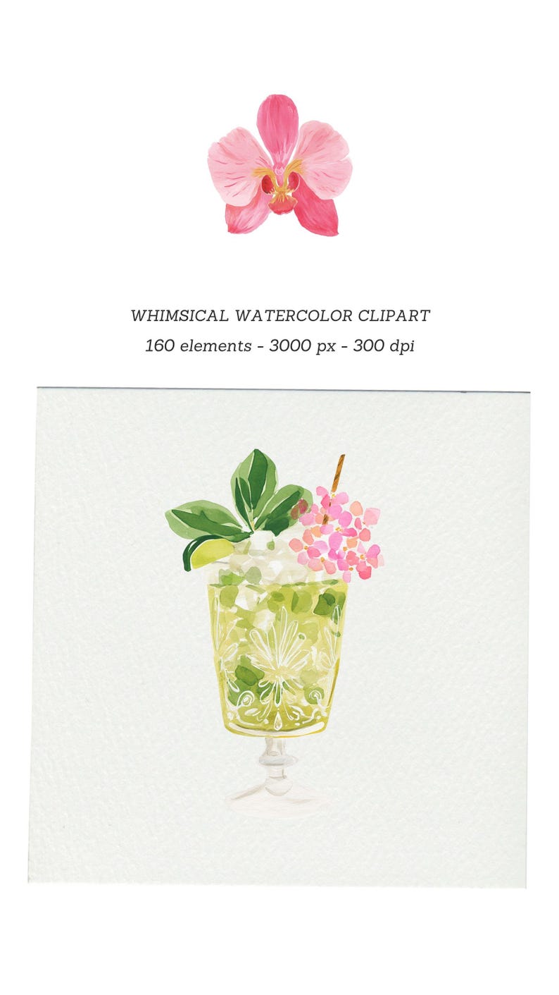 Op de afbeelding: Waterverfillustratie van een cocktail met limoen en roze bloemen, gegarneerd met muntblaadjes. Een roze orchidee staat boven de cocktail. Tekst: "WHIMSICAL WATERCOLOR CLIPART 160 elementen - 3000 px - 300 dpi."