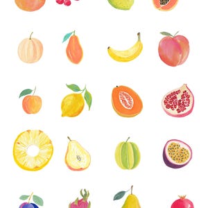 May include: Watercolor clipart featuring a variety of fruits, including peaches, cherries, pears, papaya, bananas, and plums. The image also includes a pineapple, a dragon fruit, a strawberry, and a pomegranate. The text "THE FRUIT EDIT WATERCOLOR CLIPART" is at the top.